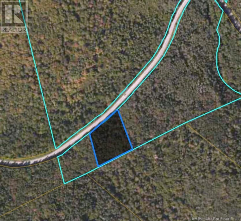 Lot Damascus Road, Smithtown, New Brunswick  E5N 3Z9 - Photo 3 - NB106388