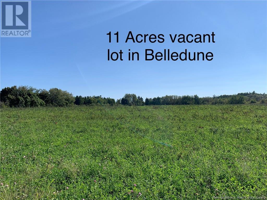 Vacant Lot Route 134 (Main St), Belledune, New Brunswick  E8G 2J7 - Photo 3 - NB105162