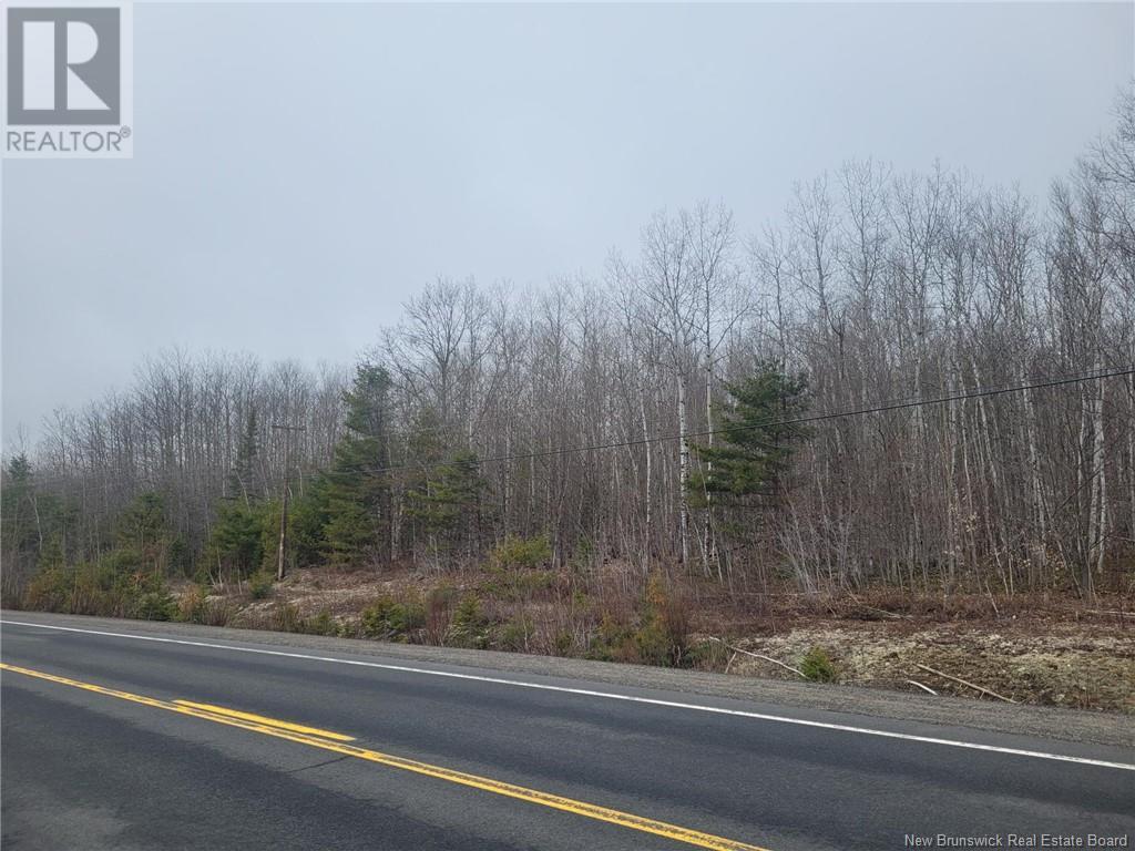 Lot 77-2 Main Street, Doaktown, New Brunswick  E9C 1C1 - Photo 3 - NB106549
