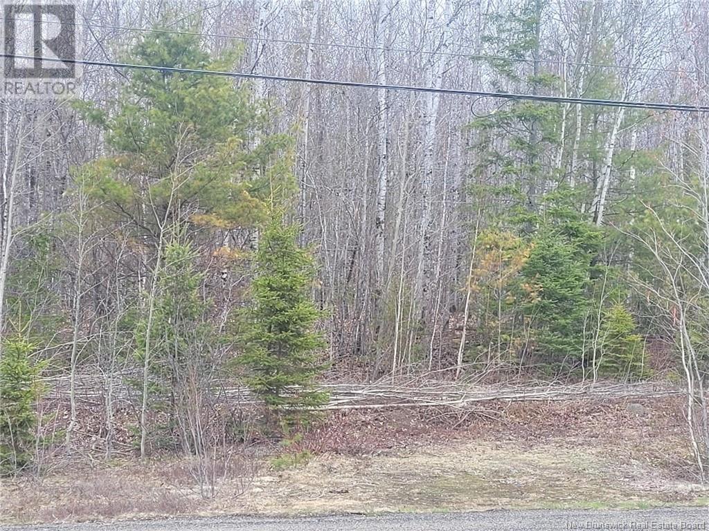 Lot 77-3 Main Street, Doaktown, New Brunswick  E9C 1C1 - Photo 2 - NB106548