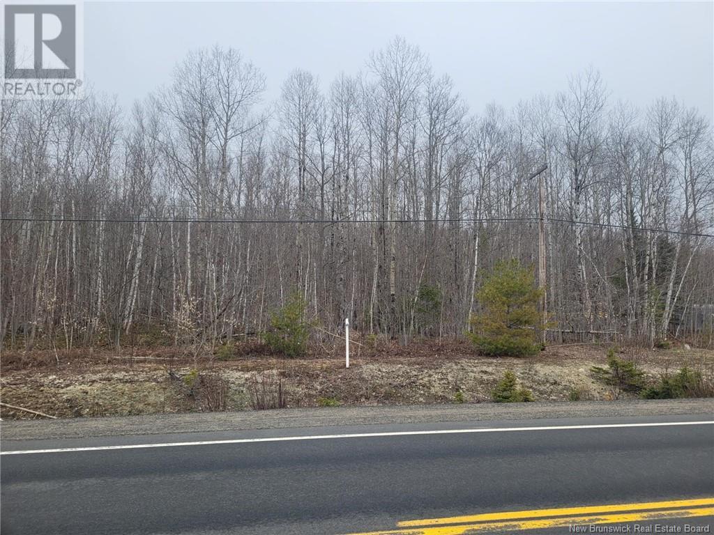 Lot 77-3 Main Street, Doaktown, New Brunswick  E9C 1C1 - Photo 4 - NB106548