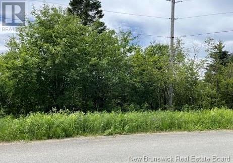 Vacant Lot York Road, Florenceville-Bristol, New Brunswick  E7L 2J5 - Photo 6 - NB106823