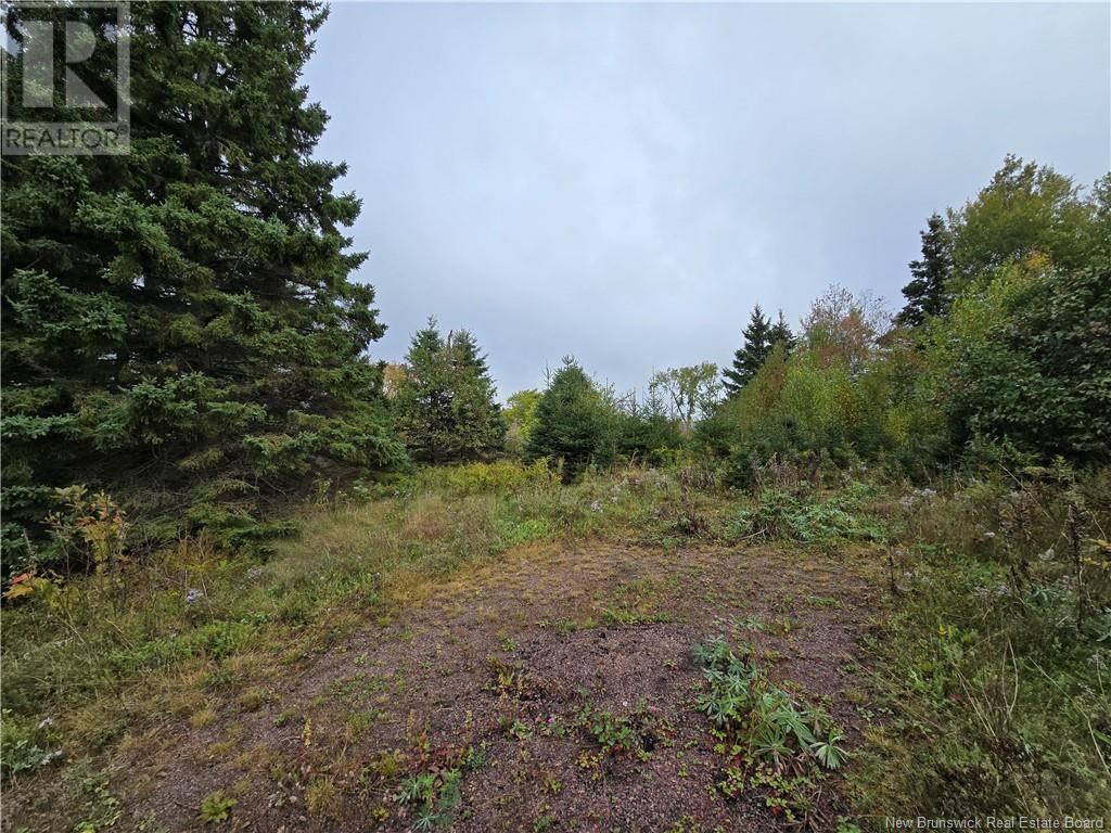 14077 10 Route, Roachville, New Brunswick  E4G 2V9 - Photo 1 - NB107029