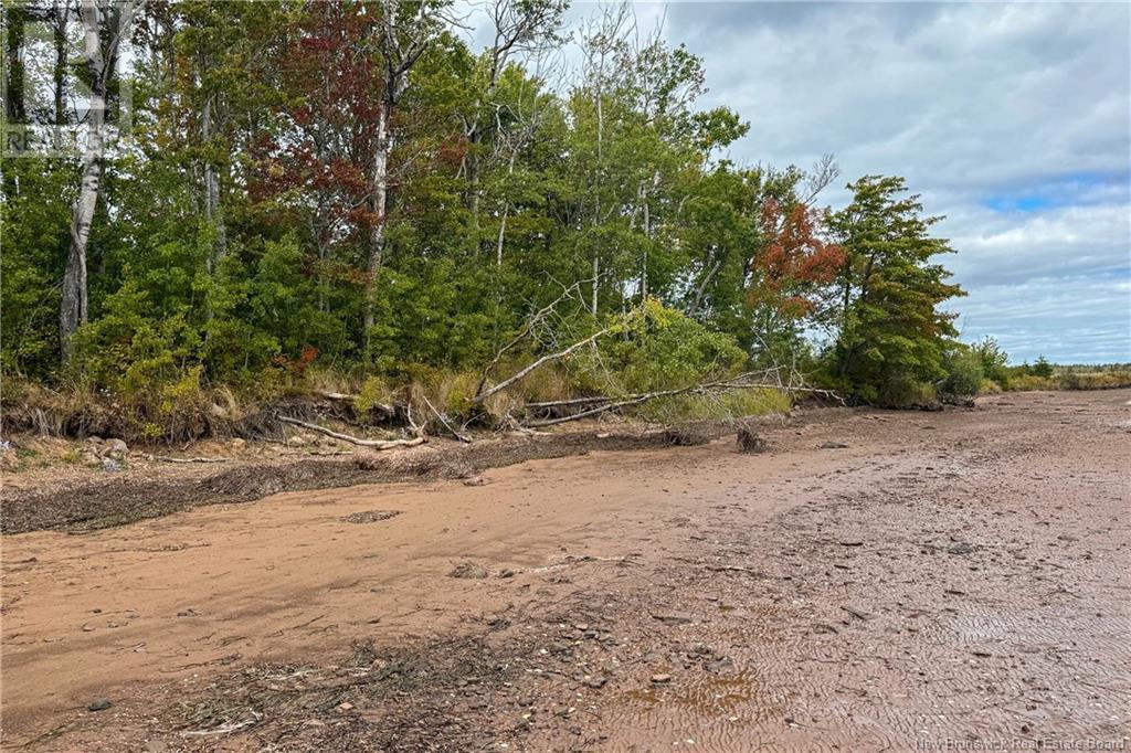 25 Shemogue Harbour Shore Road, Shemogue, New Brunswick  E4N 2R9 - Photo 13 - NB107060