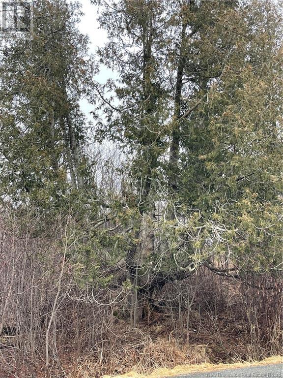 00 Kennebecasis River Road, Hampton, New Brunswick  E5N 6L8 - Photo 2 - NB107084