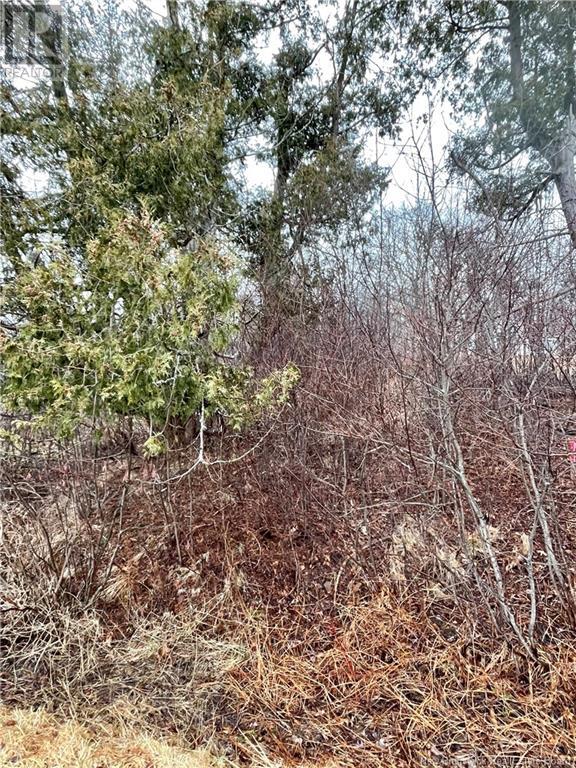 00 Kennebecasis River Road, Hampton, New Brunswick  E5N 6L8 - Photo 3 - NB107084