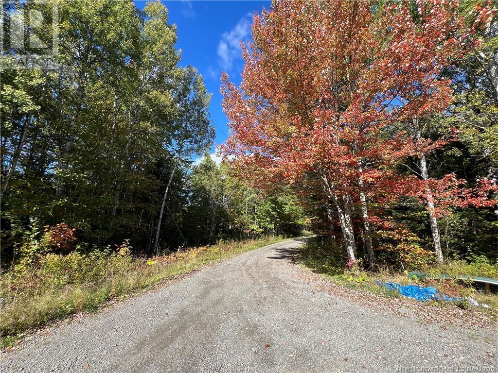 46884 Homestead Road, Salisbury, New Brunswick  E1G 4P1 - Photo 3 - NB106873