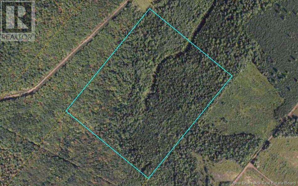 Lot Route 905, Elgin, New Brunswick  E4Z 6C4 - Photo 1 - NB106898