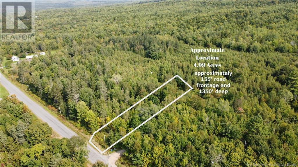 Lot 21-1 Penniac Rd, Mount Hope, New Brunswick  E3A 9A3 - Photo 1 - NB106613