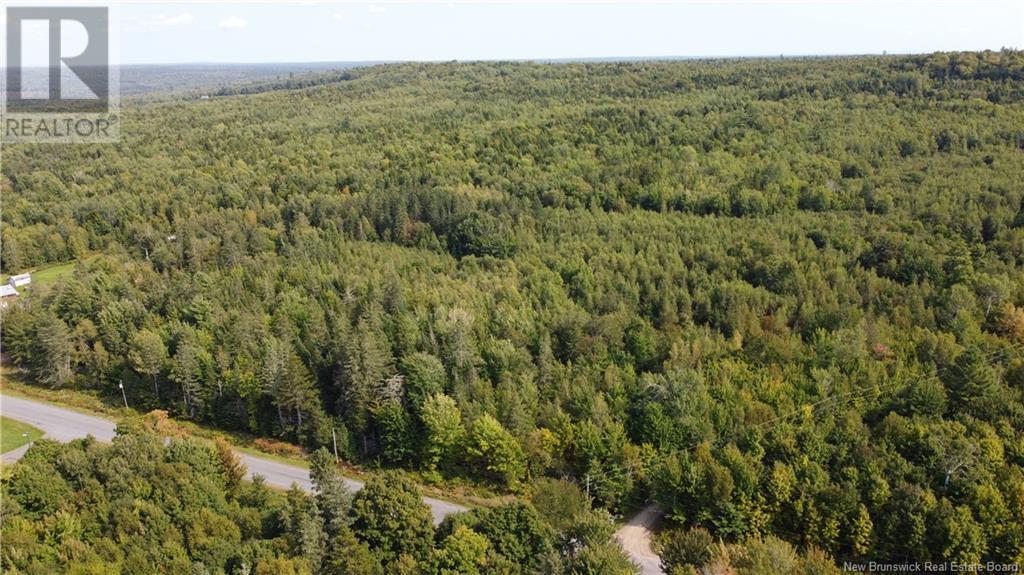 Lot 21-1 Penniac Rd, Mount Hope, New Brunswick  E3A 9A3 - Photo 3 - NB106613