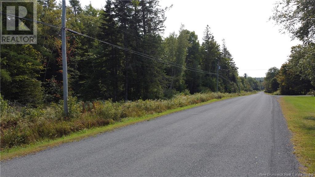 Lot 21-1 Penniac Rd, Mount Hope, New Brunswick  E3A 9A3 - Photo 4 - NB106613