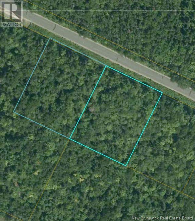 2 Acres Allain Street, Neguac, New Brunswick  E9G 3A4 - Photo 4 - NB107232