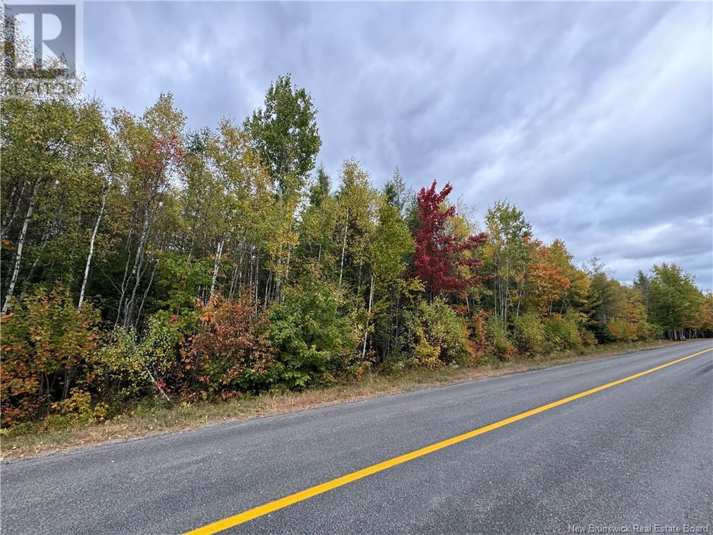 - Blueberry Lane, Codys, New Brunswick  E4C 1E3 - Photo 1 - NB107368