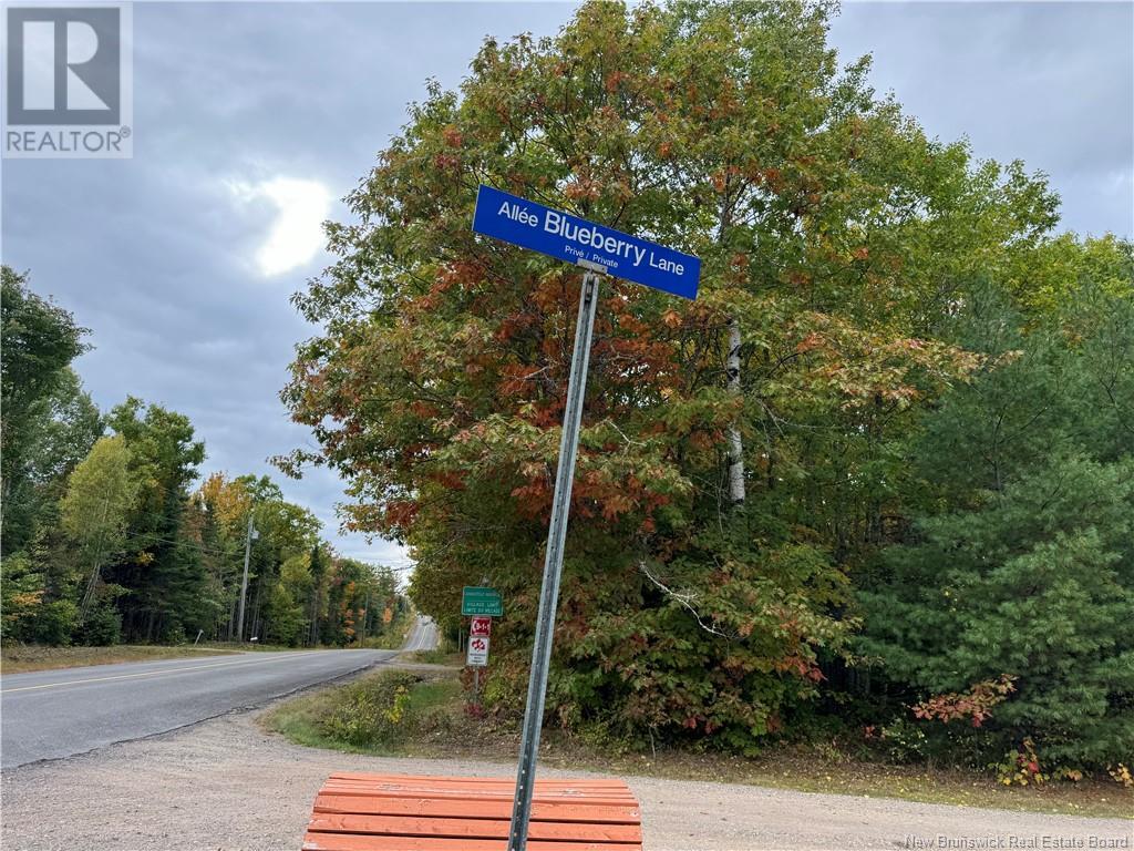 - Blueberry Lane, Codys, New Brunswick  E4C 1E3 - Photo 2 - NB107368