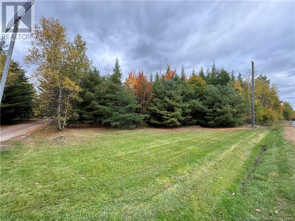 - Blueberry Lane, Codys, New Brunswick  E4C 1E3 - Photo 3 - NB107368