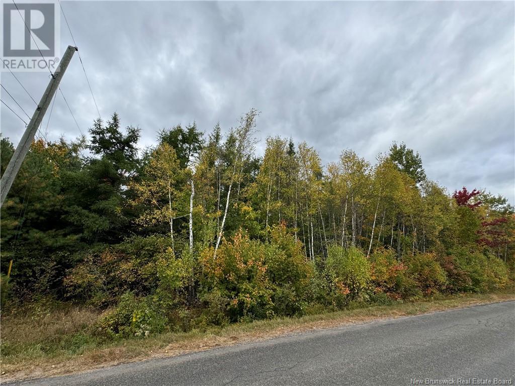 - Blueberry Lane, Codys, New Brunswick  E4C 1E3 - Photo 4 - NB107368