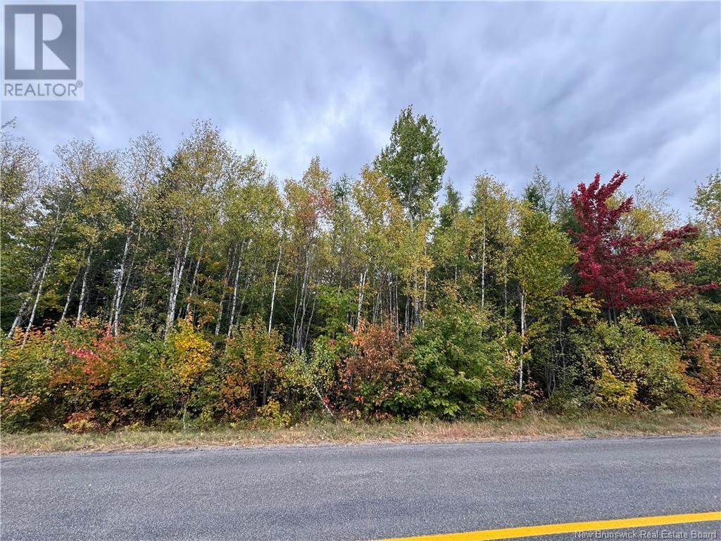 Blueberry Lane, Codys, New Brunswick  E4C 1E3 - Photo 5 - NB107368