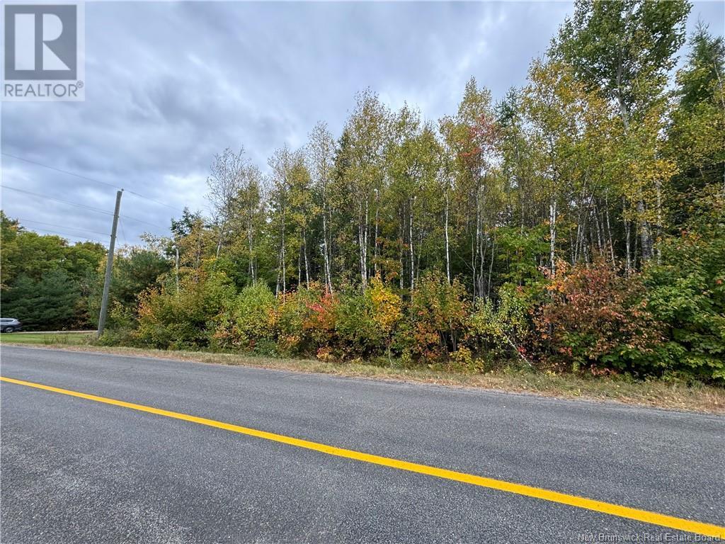 - Blueberry Lane, Codys, New Brunswick  E4C 1E3 - Photo 6 - NB107368