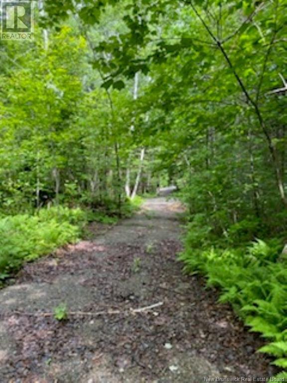 Lot 2 Highway Pokiok, Hawkshaw, New Brunswick  E6K 3Z3 - Photo 2 - NB107220