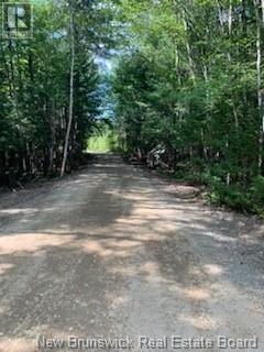 Lot 2 Highway Pokiok, Hawkshaw, New Brunswick  E6K 3Z3 - Photo 3 - NB107220