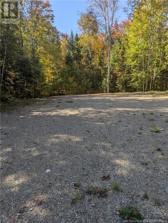 Lot 2 Highway Pokiok, Hawkshaw, New Brunswick  E6K 3Z3 - Photo 4 - NB107220