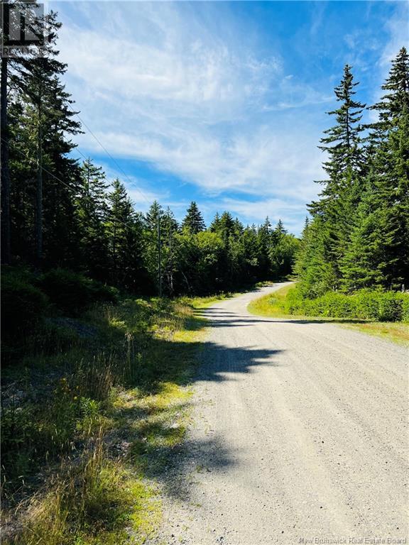 Lot 2 Fiander Road, Bocabec, New Brunswick  E5B 3M6 - Photo 8 - NB107499