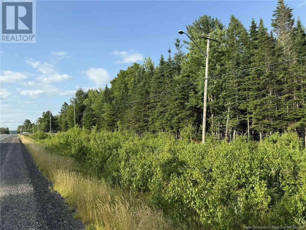 20 Acres Main Street, Blackville, New Brunswick  E9B 2G4 - Photo 2 - NB107520