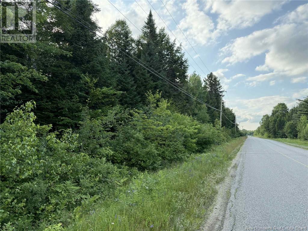 20 Acres Main Street, Blackville, New Brunswick  E9B 2G4 - Photo 3 - NB107520