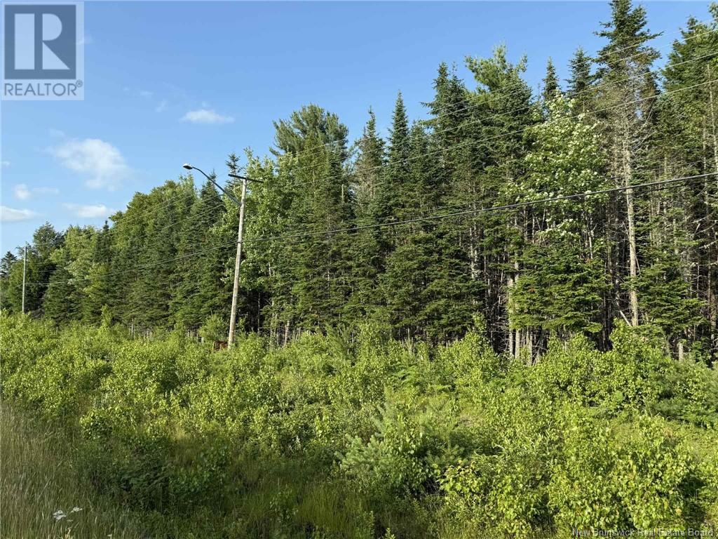 20 Acres Main Street, Blackville, New Brunswick  E9B 2G4 - Photo 4 - NB107520