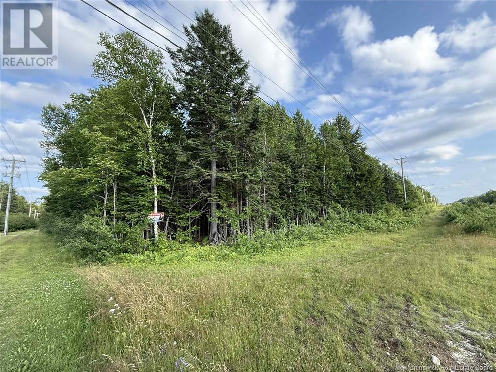 20 Acres Main Street, Blackville, New Brunswick  E9B 2G4 - Photo 5 - NB107520
