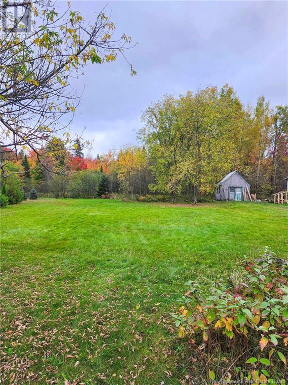 446 Cahill Road, Piercemont, New Brunswick  E7J 2L7 - Photo 18 - NB107162