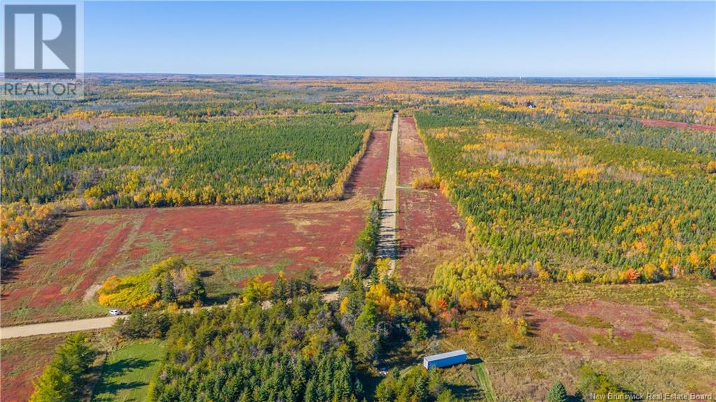 Lot Morais Street, Bas-Caraquet, New Brunswick  E1W 6A7 - Photo 10 - NB107543