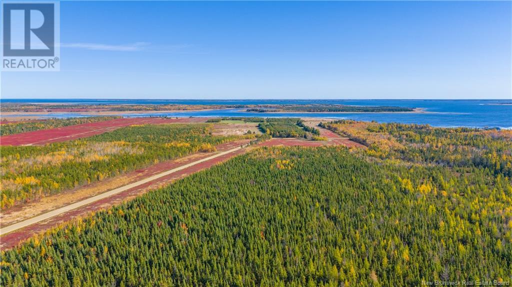 Lot Morais Street, Bas-Caraquet, New Brunswick  E1W 6A7 - Photo 3 - NB107543