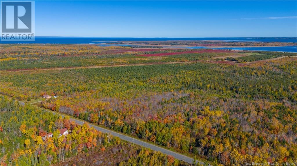 Lot Morais Street, Bas-Caraquet, New Brunswick  E1W 6A7 - Photo 4 - NB107549