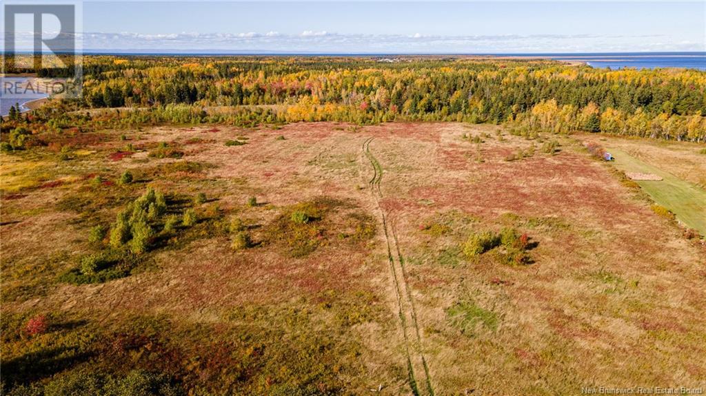 13.8 Acres Ch Pokesudie Street, Pokesudie, New Brunswick  E1W 5S8 - Photo 5 - NB107673