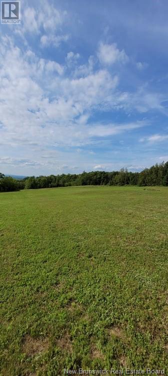 Lot Old Houlton Road, Richmond Settlement, New Brunswick  E7M 4Z5 - Photo 7 - NB107803