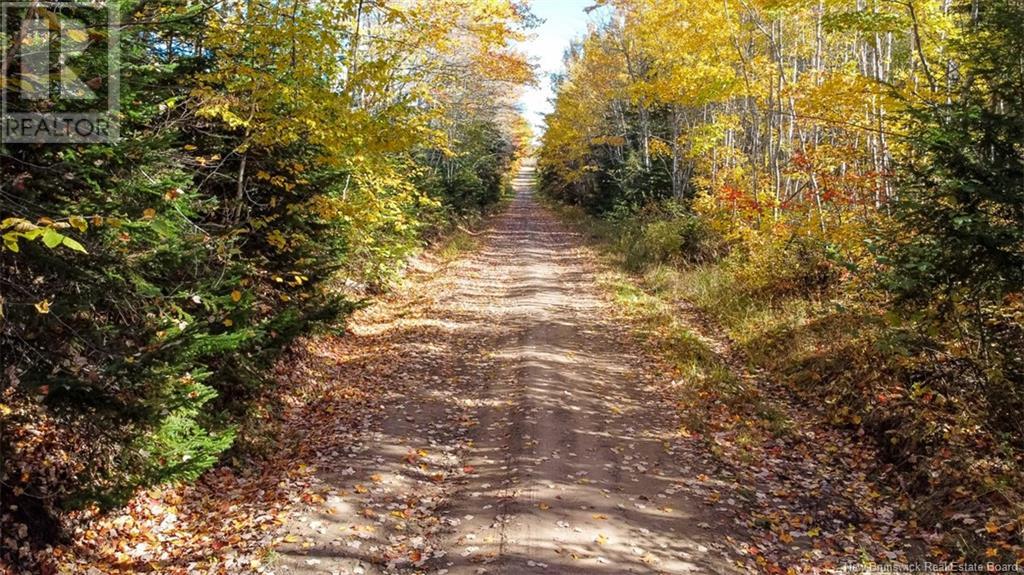 Lot Fisher Hill, Bouctouche, New Brunswick  E4T 0A0 - Photo 2 - NB108007