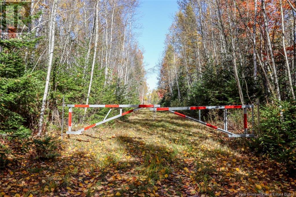 161 Fisher Hill, Bouctouche, New Brunswick  E4T 0A9 - Photo 23 - NB107999