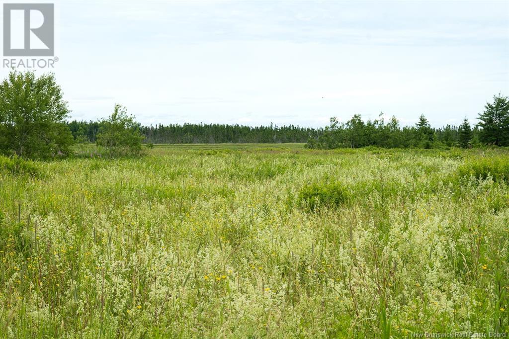 Na Rue St-Paul, Bas-Caraquet, New Brunswick  E1W 6C7 - Photo 11 - NB107951