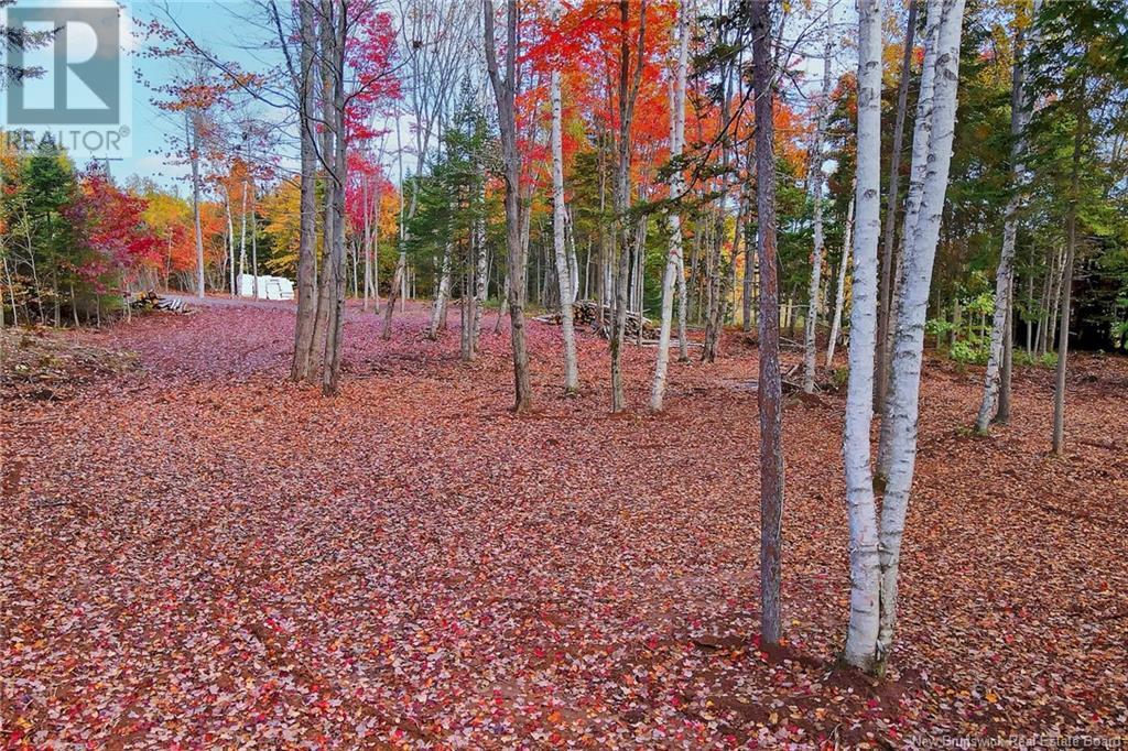 690 Route, Flowers Cove, New Brunswick  O0O 0O0 - Photo 10 - NB107945