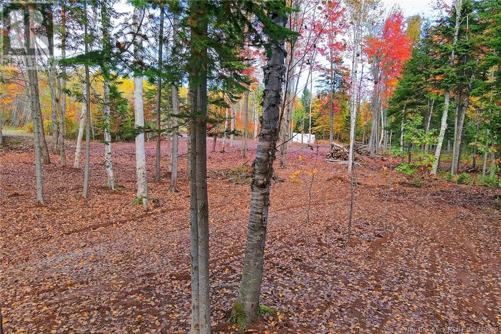 690 Route, Flowers Cove, New Brunswick  O0O 0O0 - Photo 12 - NB107945