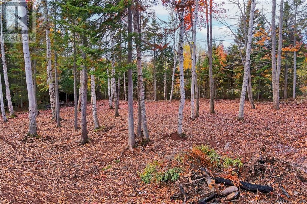 690 Route, Flowers Cove, New Brunswick  O0O 0O0 - Photo 13 - NB107945