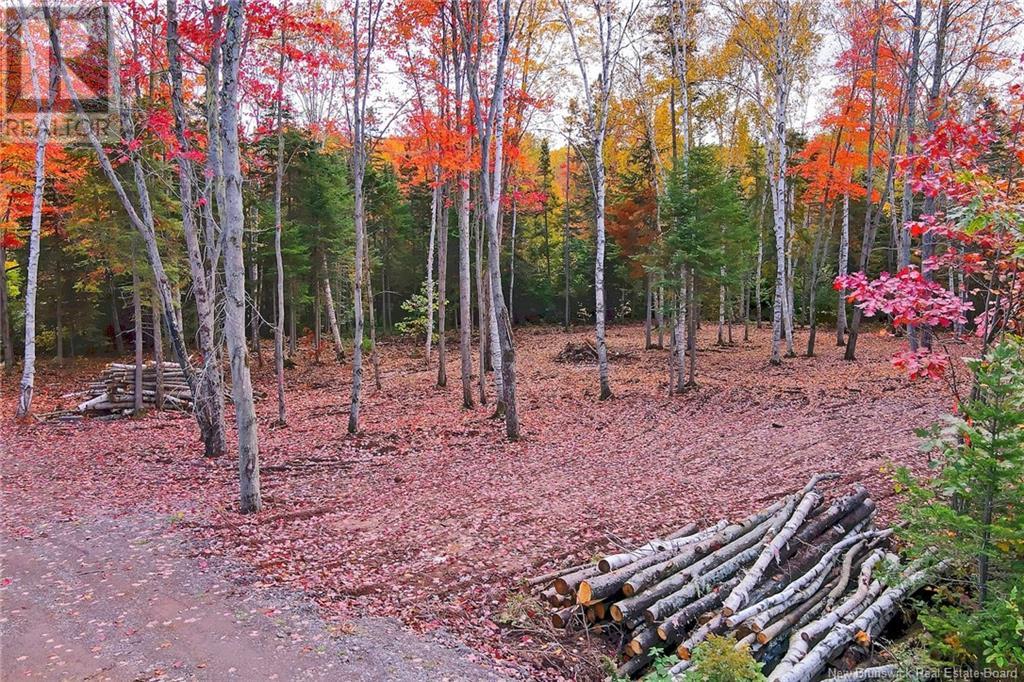 690 Route, Flowers Cove, New Brunswick  O0O 0O0 - Photo 14 - NB107945