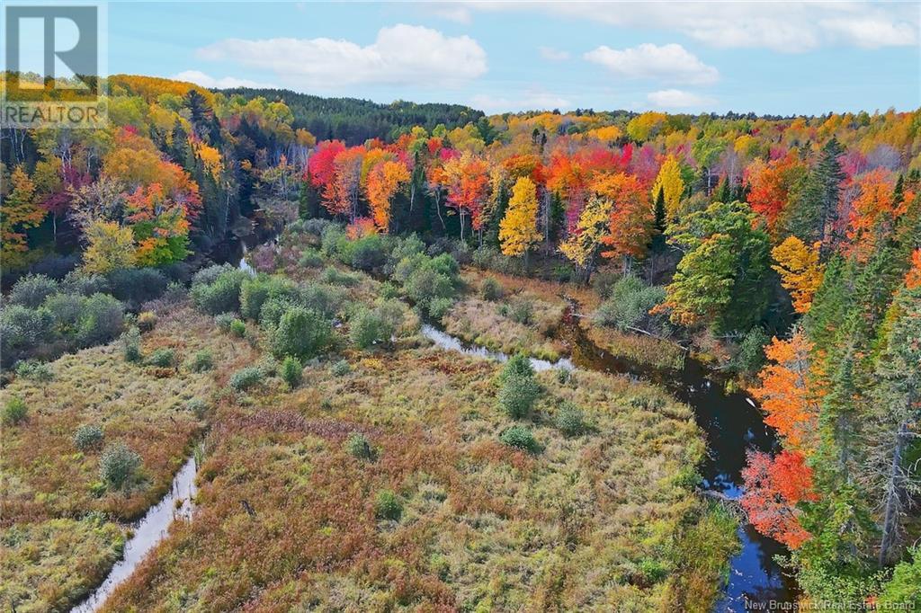 690 Route, Flowers Cove, New Brunswick  O0O 0O0 - Photo 15 - NB107945