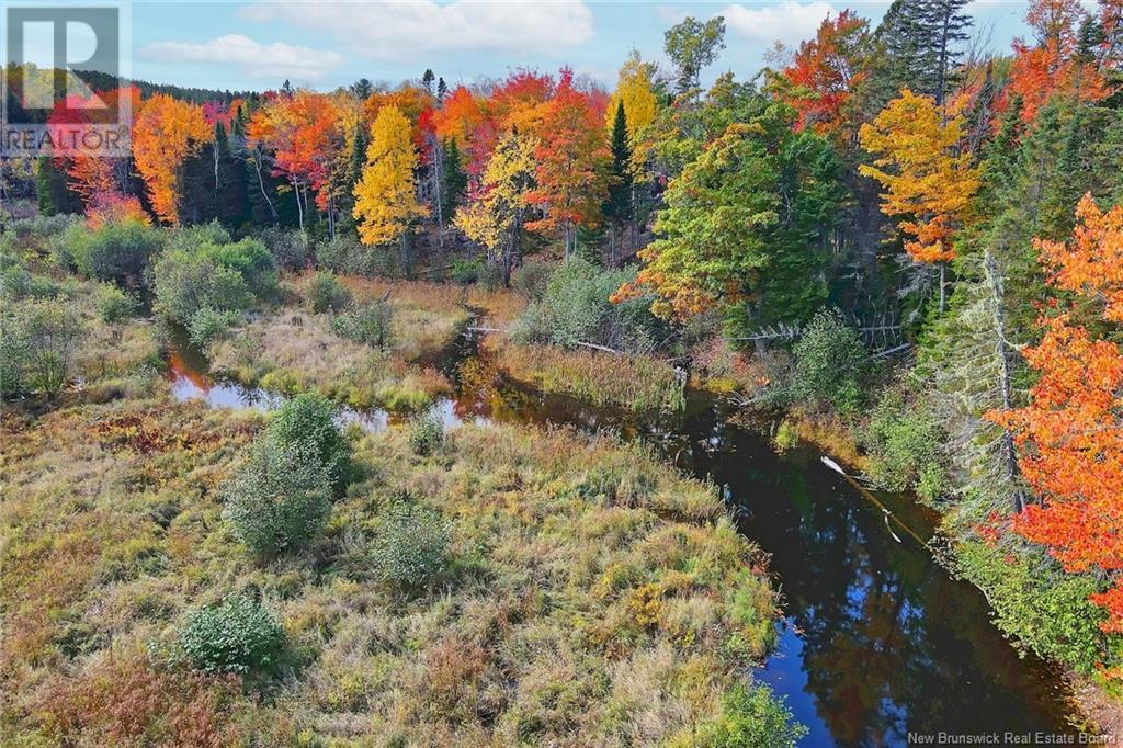 690 Route, Flowers Cove, New Brunswick  O0O 0O0 - Photo 16 - NB107945