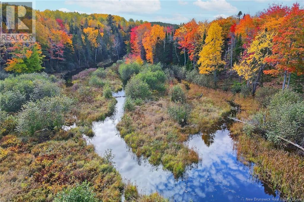 690 Route, Flowers Cove, New Brunswick  O0O 0O0 - Photo 17 - NB107945