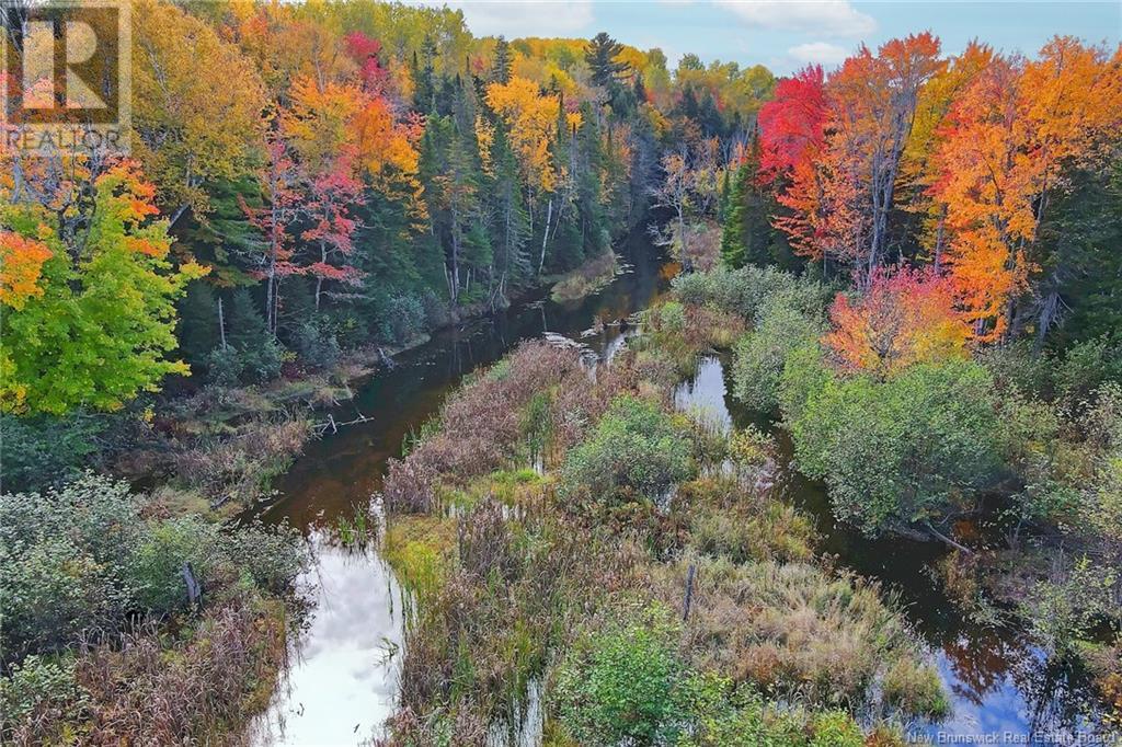 690 Route, Flowers Cove, New Brunswick  O0O 0O0 - Photo 18 - NB107945