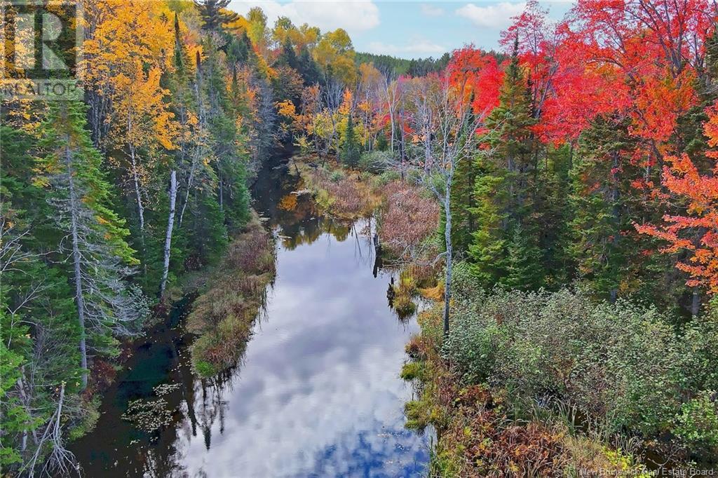 690 Route, Flowers Cove, New Brunswick  O0O 0O0 - Photo 19 - NB107945