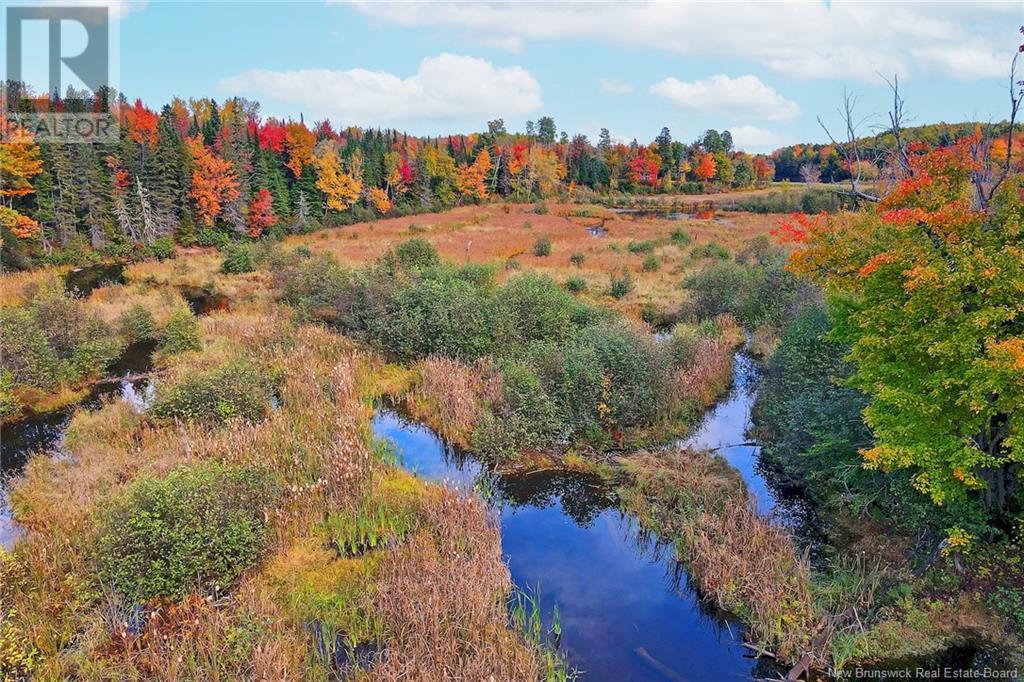 690 Route, Flowers Cove, New Brunswick  O0O 0O0 - Photo 20 - NB107945