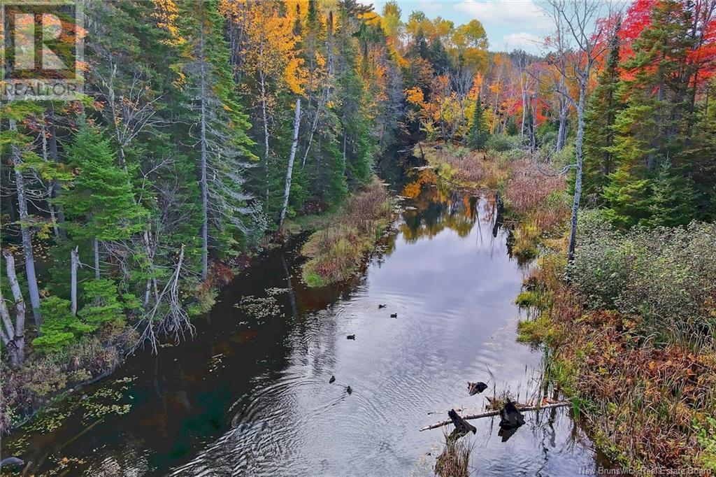 690 Route, Flowers Cove, New Brunswick  O0O 0O0 - Photo 21 - NB107945